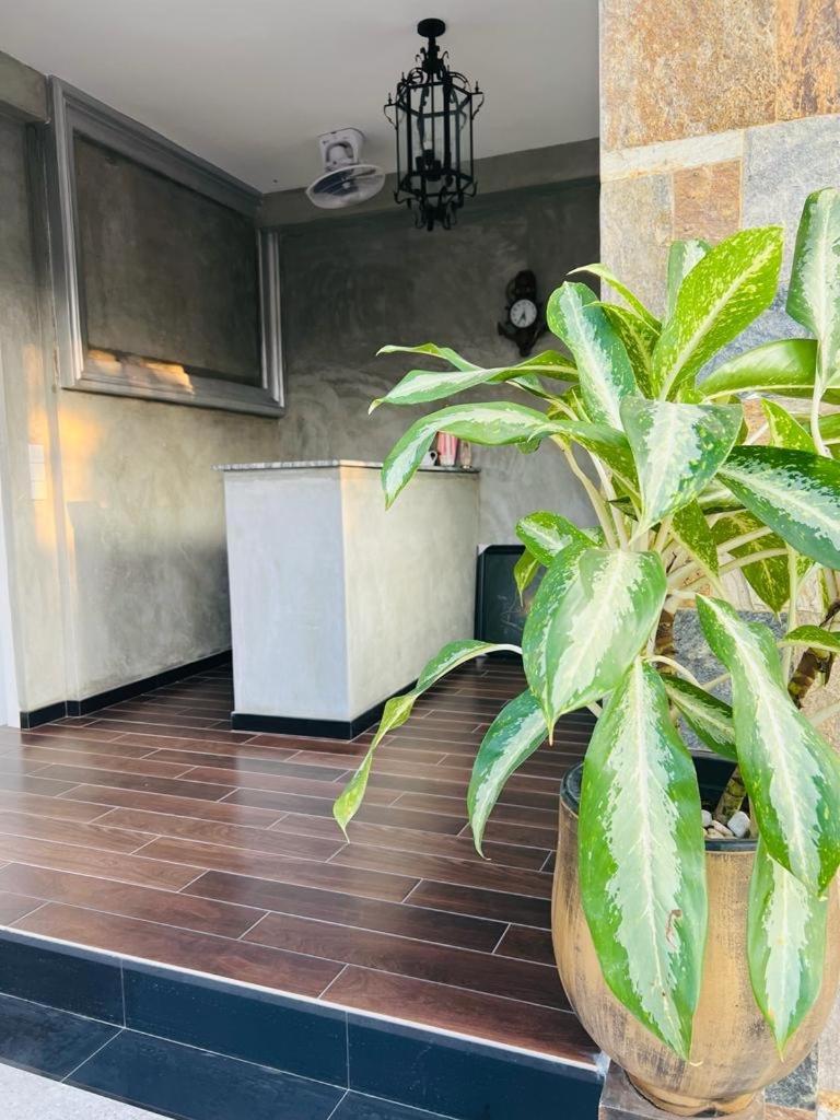 Mama'S Boutique Beach Hotel Νεγκόμπο Εξωτερικό φωτογραφία